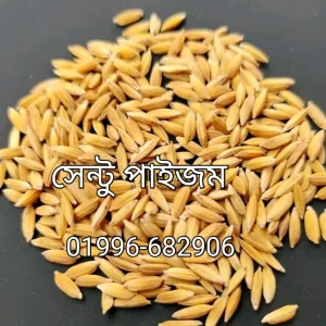 ২ কেজি সেন্টু পাইজম