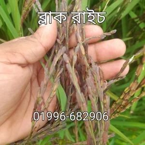 ব্লাক রাইচ - 2 কেজির প্যাক