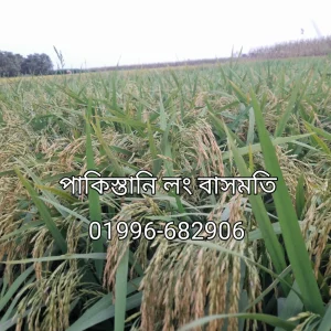 পাকিস্তানি লং বাসমতি ২ কেজির প্যাক
