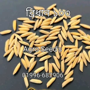 ব্রিধান ১০৩ - ২ কেজির প্যাক