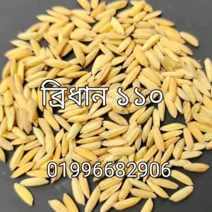 ব্রিধান ১১০ - ২ কেজির প্যাক