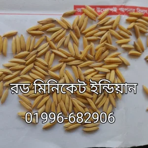 রড মিনিকেট ২ কেজির প্যাক